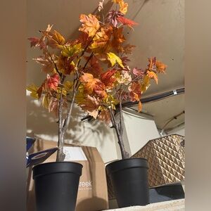 Faux trees / faux plants / faux flowers / maple leaves / fall decor / decor